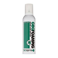 GBG Foaming Hand Sanitizer Single or 2-Pack